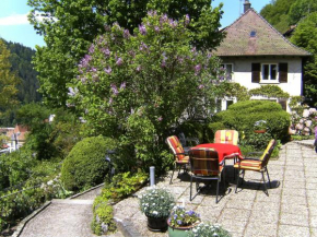 Apartment Maier-1 by Interhome Triberg Im Schwarzwald